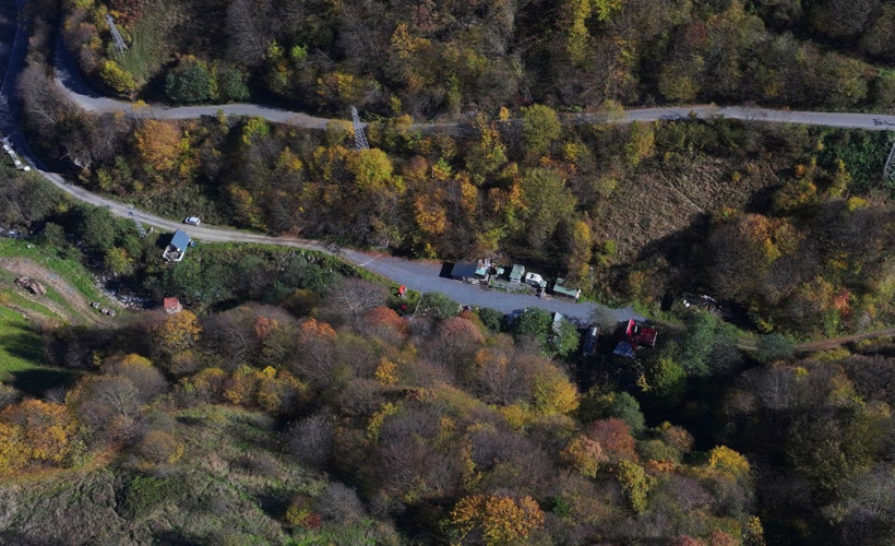 Bu ağaçlar fotoğraf tutkunlarını çağırıyor - Resim: 3