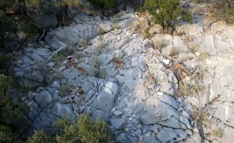 Isparta’da kaçak avcı dronla yakalandı - Resim : 2