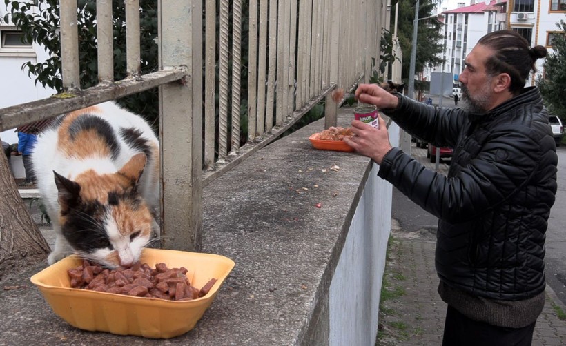 ‘Kedi Köyü’nün sınırları genişledi: 200 kedinden, bin 200 kediye çıktı - Resim: 13