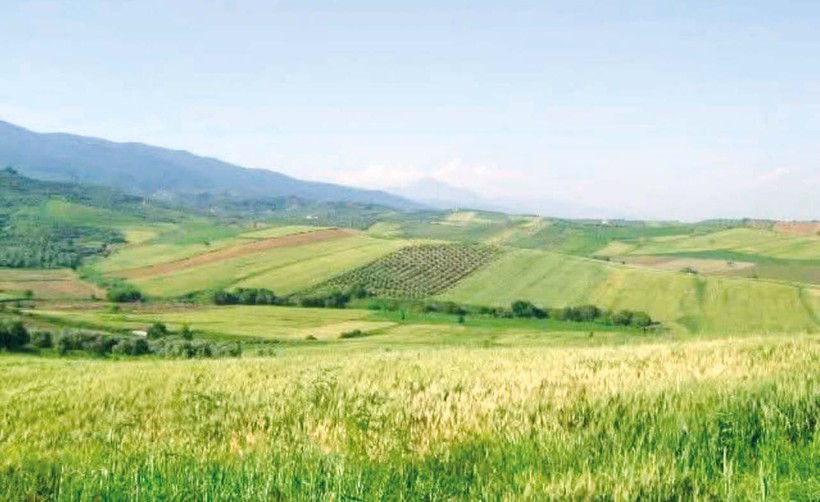 Buğday tarlasında beton yükseldi - Resim : 1