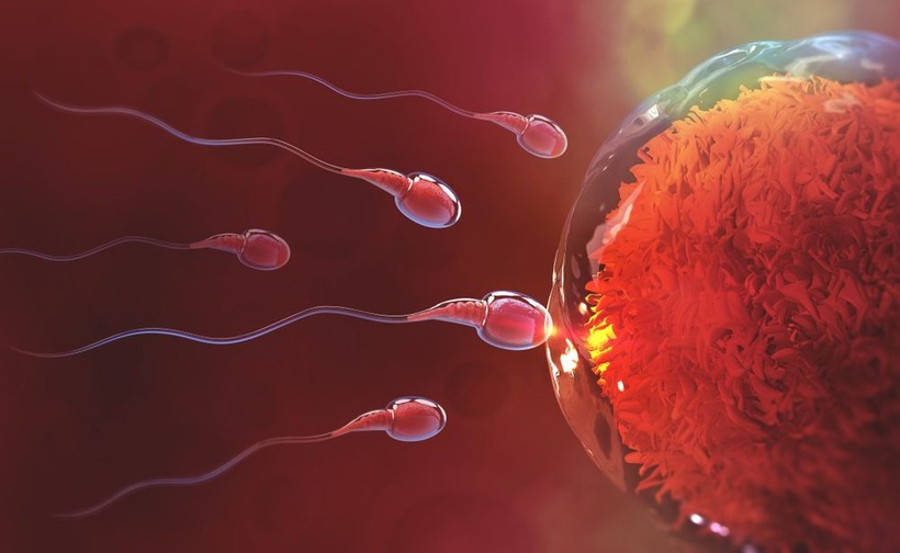 Yok böyle bahis: Spermleri yarıştıracaklar - Resim: 4