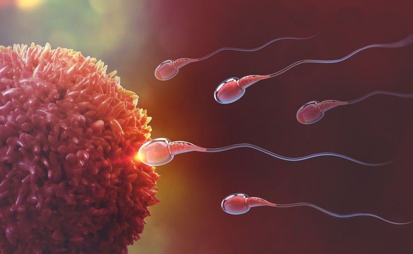 Yok böyle bahis: Spermleri yarıştıracaklar - Resim: 5
