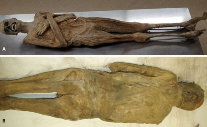 Gizemler bir bir çözüldü: 2025'te en çok konuşulan bilimsel keşifler - Resim: 1