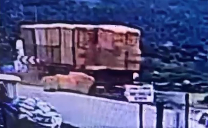 Saman balyaları &ouml;ld&uuml;rd&uuml;: Korkun&ccedil; olay kamerada - Resim : 1