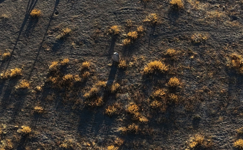 Köy mezarlığından dışlanan kadının defnedildiği yer medeniyet beşiği çıktı - Resim : 1