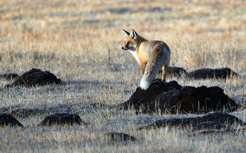 Kars'ta kış masalı başladı - Resim: 6
