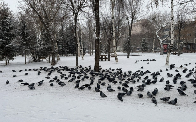 Beyaz örtü yurdu sardı - Resim: 9