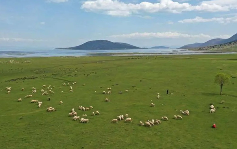 T&uuml;rkiye&rsquo;de g&ouml;l &uuml;zerinde yaşamın s&uuml;rd&uuml;ğ&uuml; tek ada. &Ccedil;ok az kişi biliyor - Resim : 3