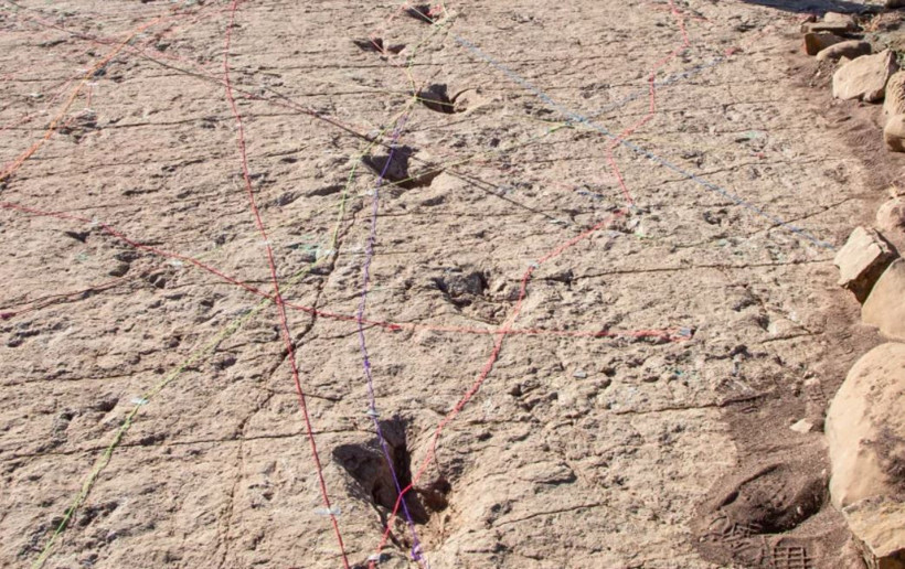 Dinozorlara ait 16 bin 600 ayak izi bulundu - Resim : 1