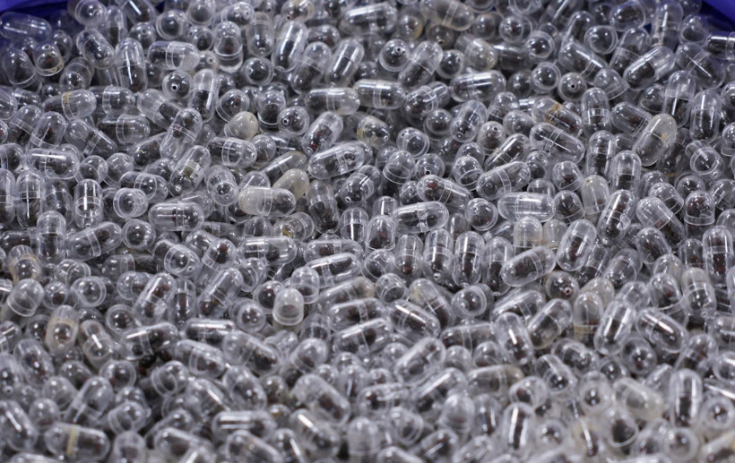 Valizinde tam 2238 karınca bulunmuştu: Hakim karşısına çıktı - Resim: 1