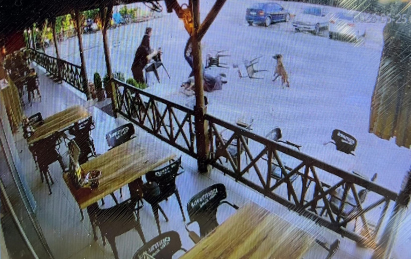 Afyonkarahisar'da sahipsiz köpek saldırısı - Resim : 1