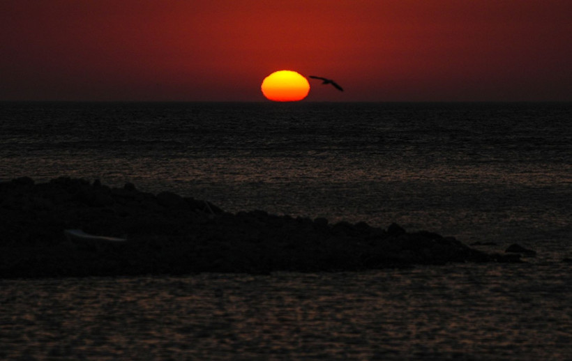 Amasra'dan nefes kesen fotoğraflar - Resim: 9