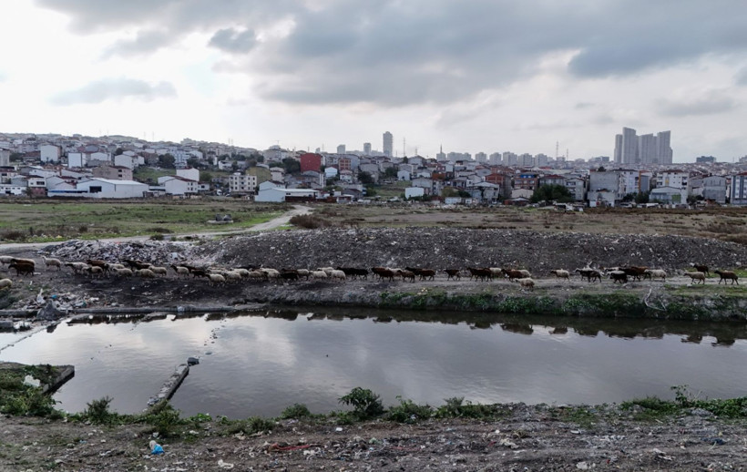 İstanbul'da ürküten manzara - Resim: 3