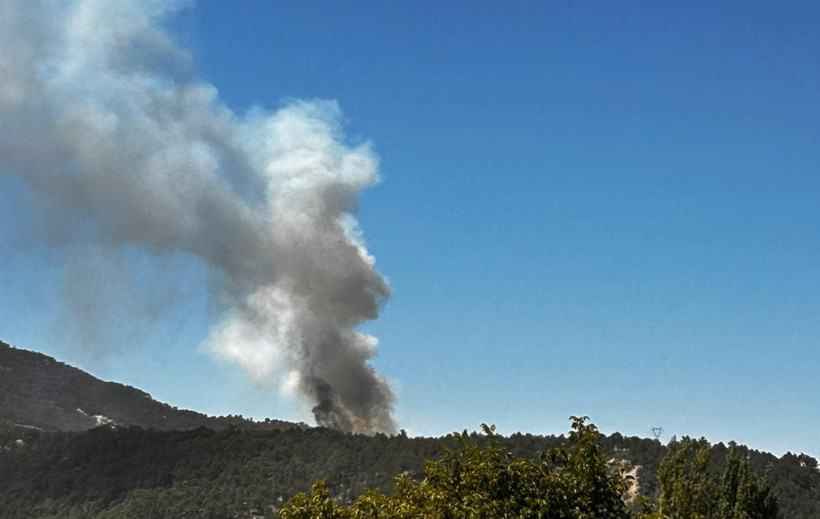Denizli'de orman yangını - Resim : 1