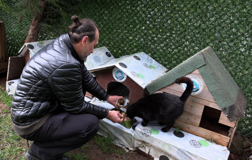 ‘Kedi Köyü’nün sınırları genişledi: 200 kedinden, bin 200 kediye çıktı - Resim: 5