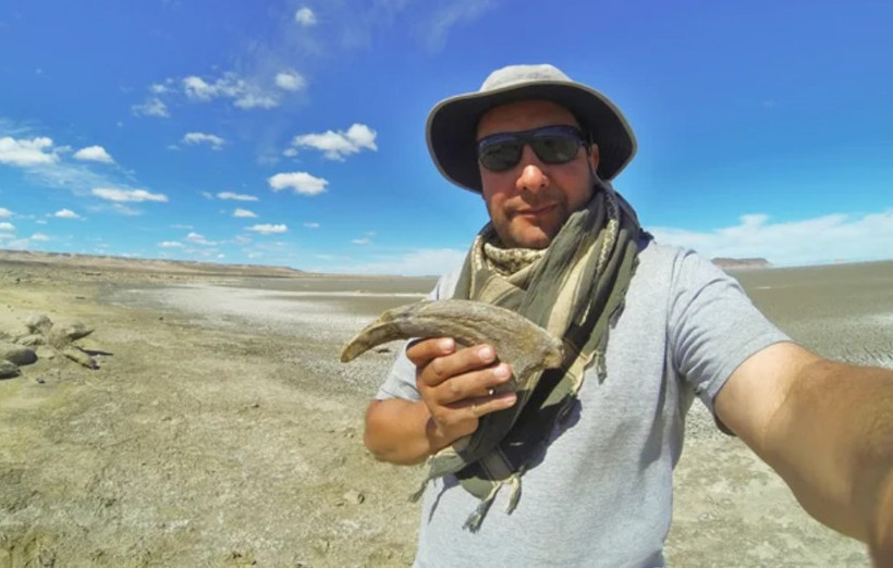 Avını yerken fosilleşmiş - Resim : 1