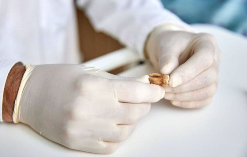 Gizemler bir bir çözüldü: 2025'te en çok konuşulan bilimsel keşifler - Resim: 14