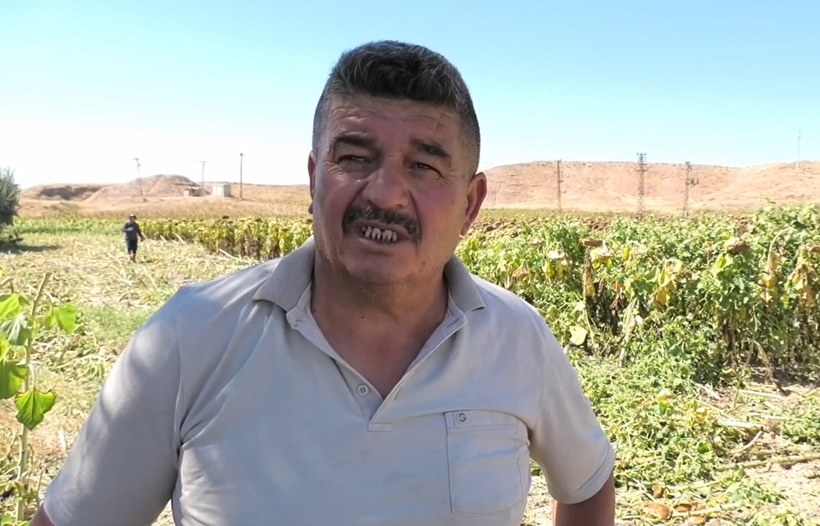 Çiftçi böyle feryat etti: Borcumu kapatabilmek için tarlamı sattım - Resim : 5