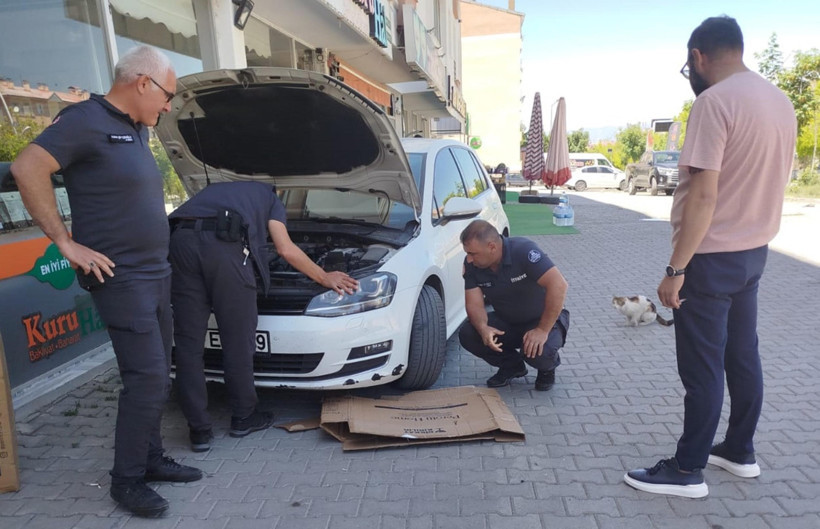 Motorda sıkışan yavrularını böyle bekledi - Resim : 2