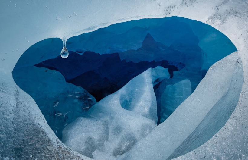 2025 Doğa Fotoğrafçılığı Yarışması'nın kazananları belli oldu - Resim: 9