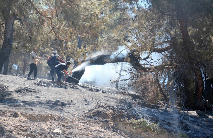 Ormanlarda 3 günlük bilanço: 263 yangın, 4'ü hâlâ sürüyor - Resim : 4