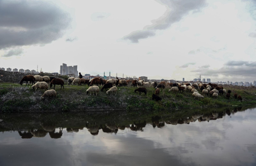 İstanbul'da ürküten manzara - Resim: 1