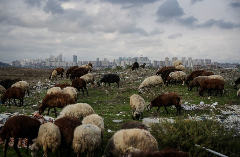 İstanbul'da ürküten manzara - Resim: 4