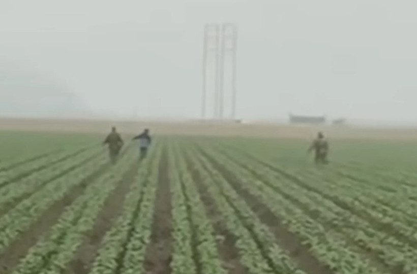 Trump'ın göçmen avı: Ajanlar tarım işçilerini kovalayıp gözaltına aldı - Resim : 1