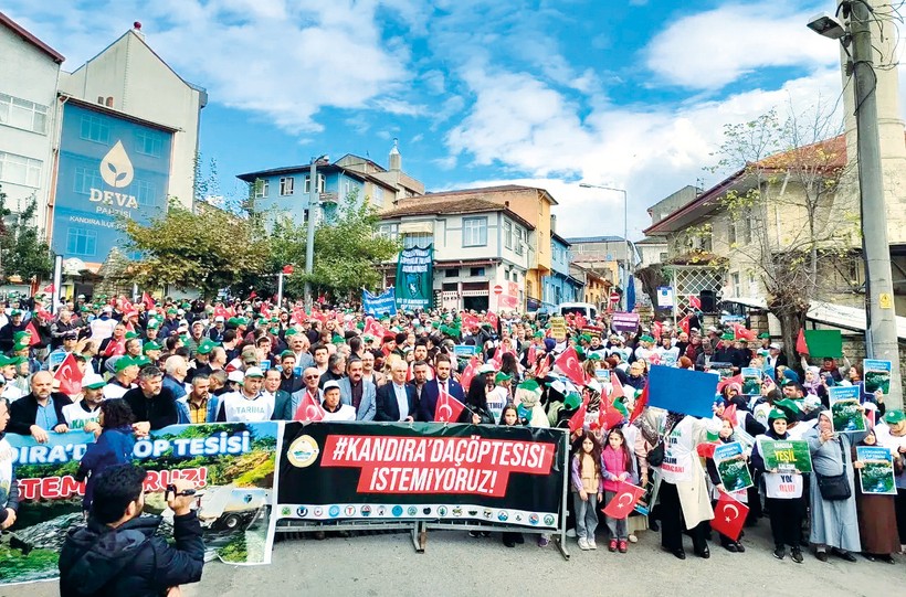 Ağaçlar ‘çöp’ olacak - Resim : 1