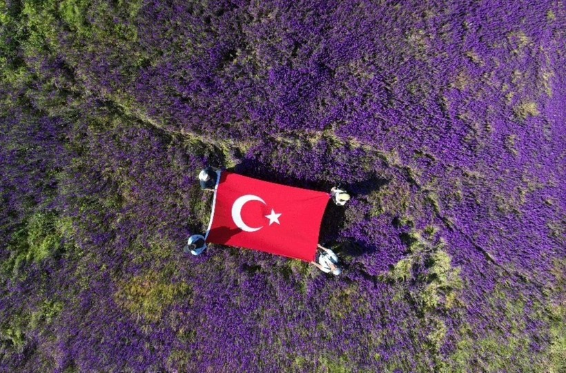 Kazı alanı mor bir halıya büründü - Resim: 8