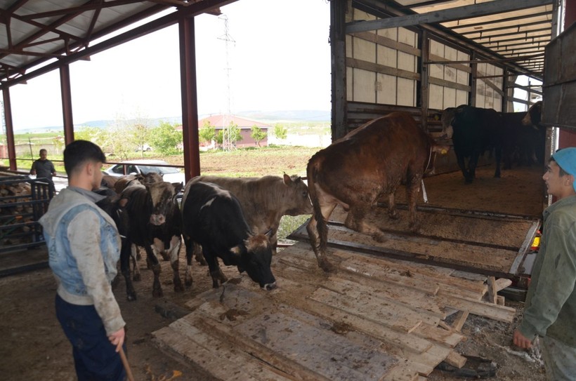 Kurban alacaklar dikkat: Ağlıyorsa, o eli hemen bırakın - Resim: 2