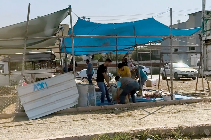 Sokak sokak usulsüz kesim! - Resim : 1