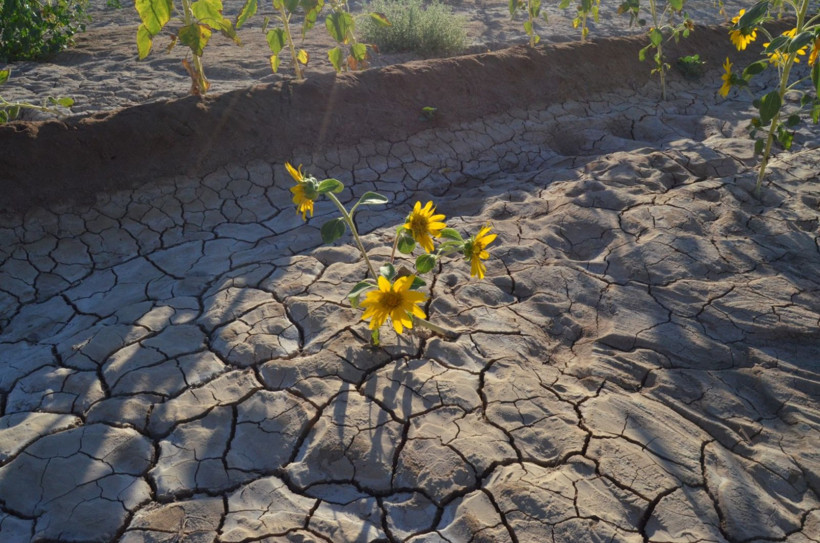 Türkiye'de tek: Aniden fışkırıyor, gözden kayboluyor - Resim: 8