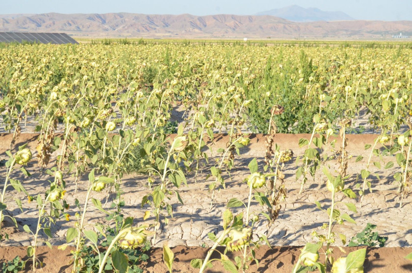 Türkiye'de tek: Aniden fışkırıyor, gözden kayboluyor - Resim: 7