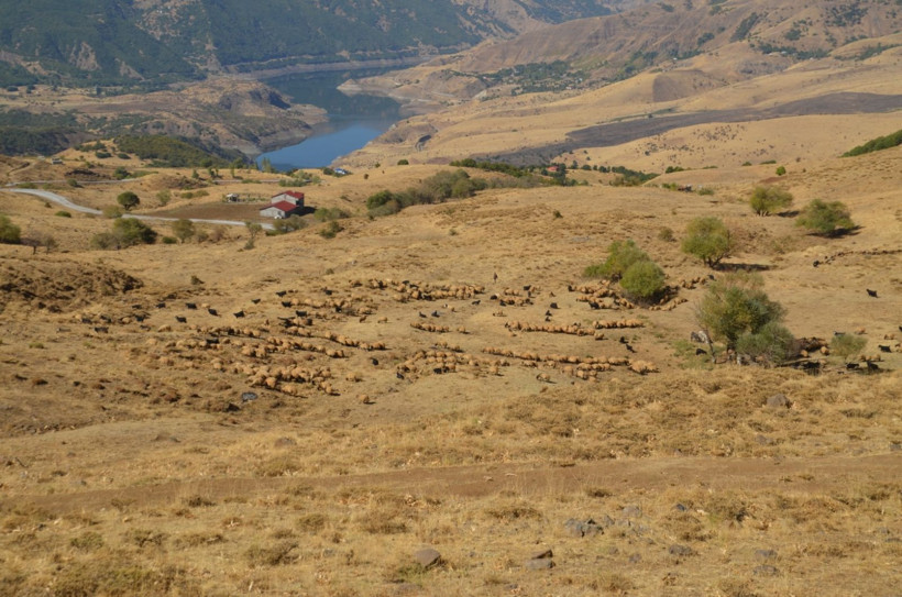 Göçerlerin iki aylık dönüş yolculuğu başladı - Resim: 3