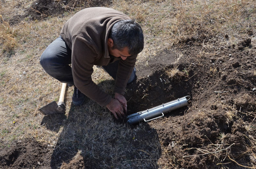 Üç yeni tür Türkiye'de bulundu! Kansere dirençli çıktılar - Resim : 1