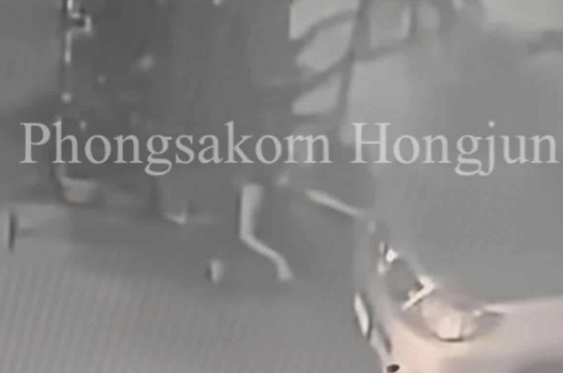 Cani anne: Sokak ortasında doğum yapıp ölüme terk etti - Resim: 5