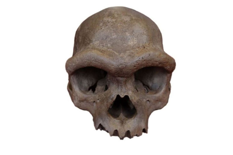 Gizemler bir bir çözüldü: 2025'te en çok konuşulan bilimsel keşifler - Resim: 3