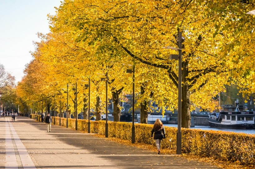 Turku mucizesi: İşte dünyanın en temiz şehri - Resim: 3