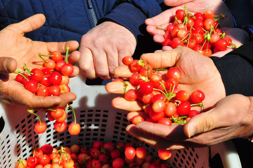 Kilosu 3 bin 500 liradan satıldı! Alıcılar sıraya girdi - Resim : 1
