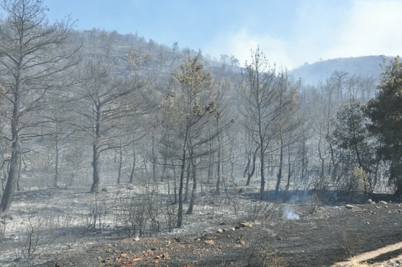 Manisa'da iki yangın: İki gözaltı - Resim : 1