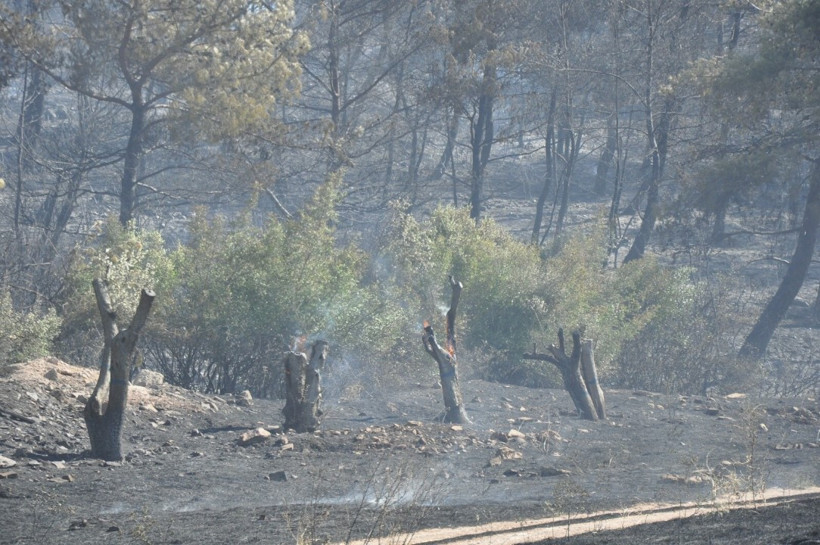 Manisa'da iki yangın: İki gözaltı - Resim : 3