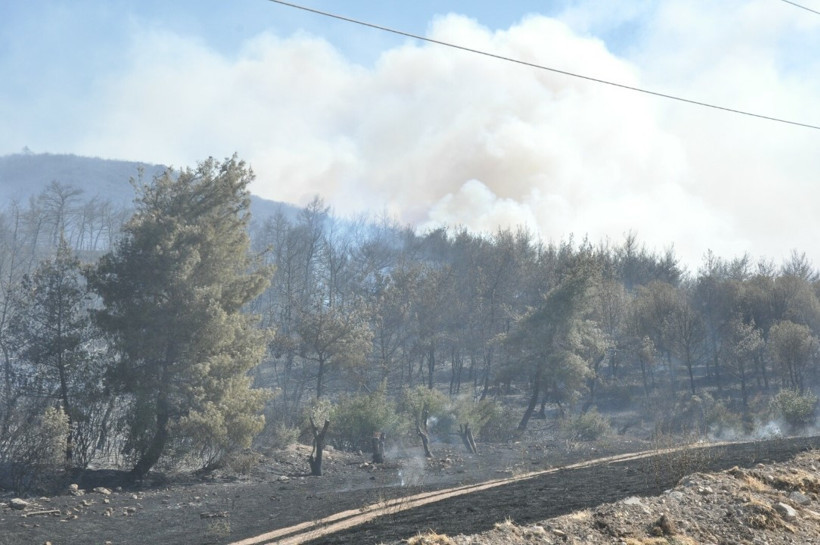 Manisa'da iki yangın: İki gözaltı - Resim : 4