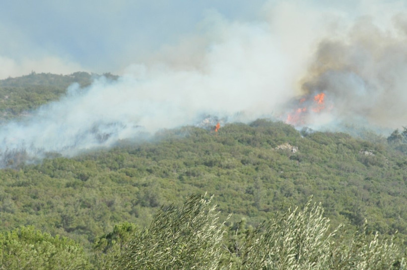 Manisa'da iki yangın: İki gözaltı - Resim : 7