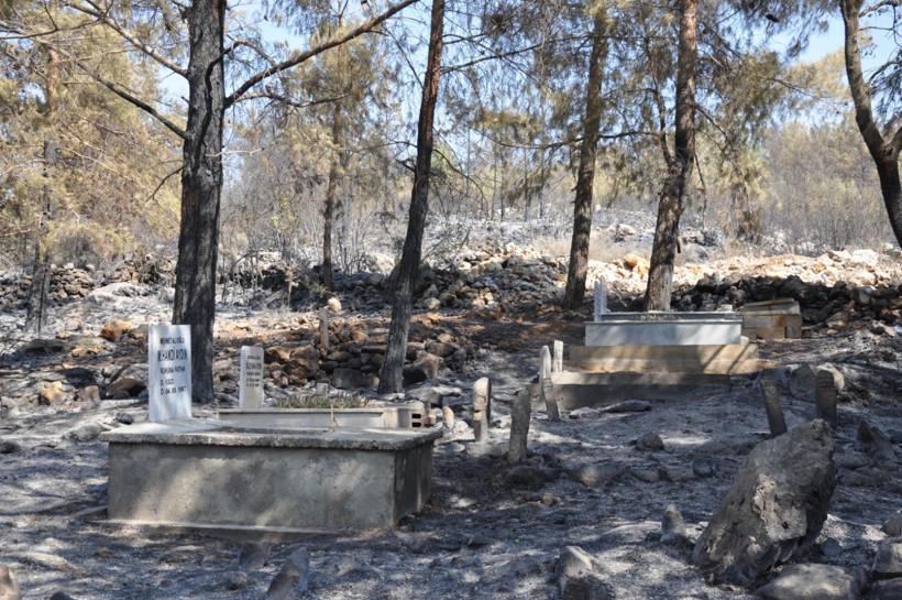 Çok acı görüntüler: Mezarlıklar da kül oldu - Resim: 14