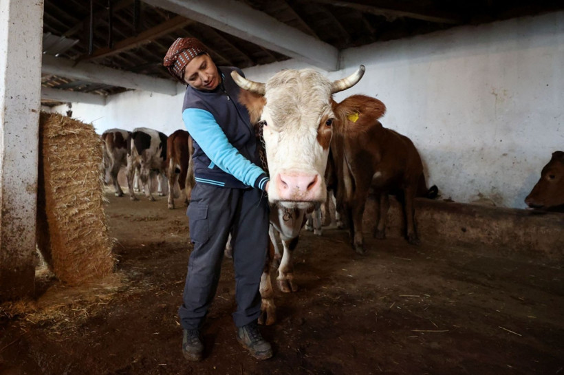 Gelin geldi, köyde kendi işinin patronu oldu - Resim: 6