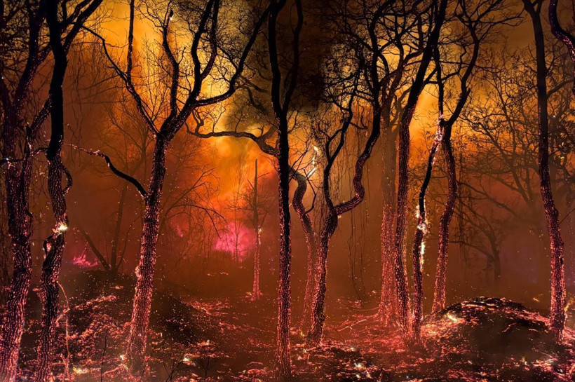 2025 Doğa Fotoğrafçılığı Yarışması'nın kazananları belli oldu - Resim: 10