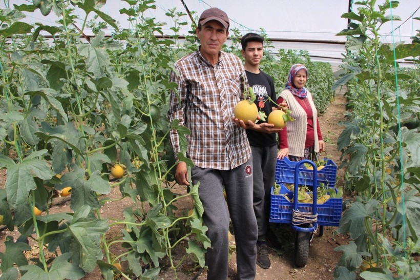 "Bu mevsimde kavun olmaz" dediler: Kilosunu 200 TL'den sattı - Resim : 2