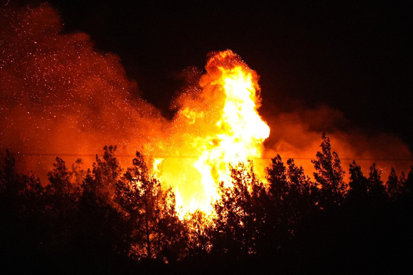 İzmir'de büyük yangın: Ormana sıçradı - Resim : 2