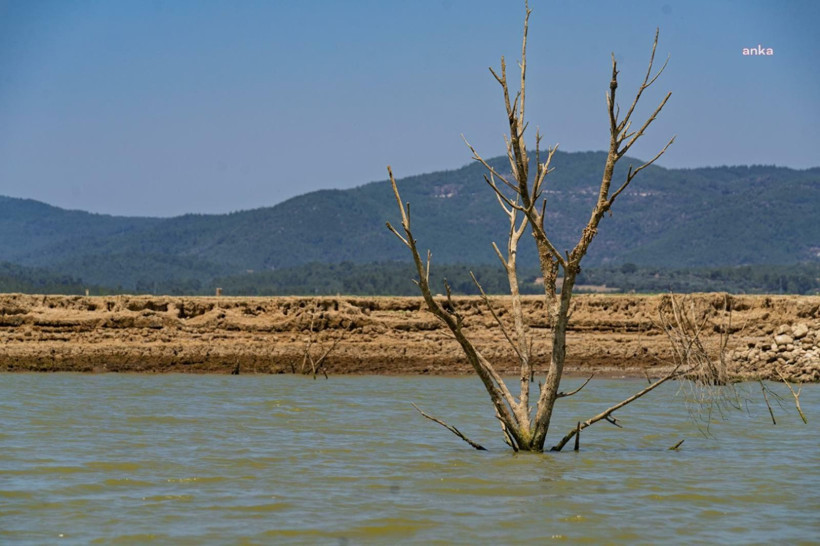 Barajlar bir bir eridi, Çeşme'de kesinti başladı: İzmir S.O.S. veriyor - Resim: 3